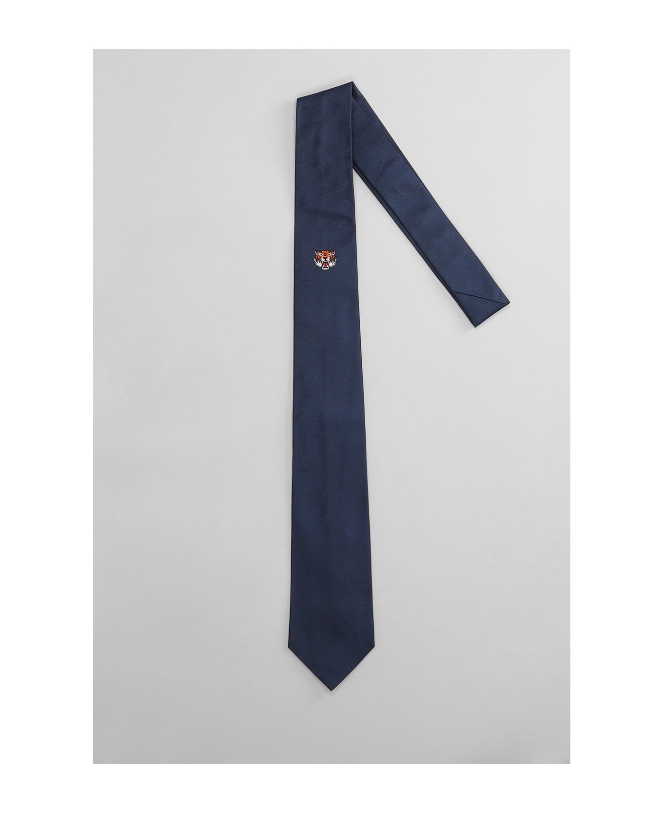 Tie In Blue Silk - 2