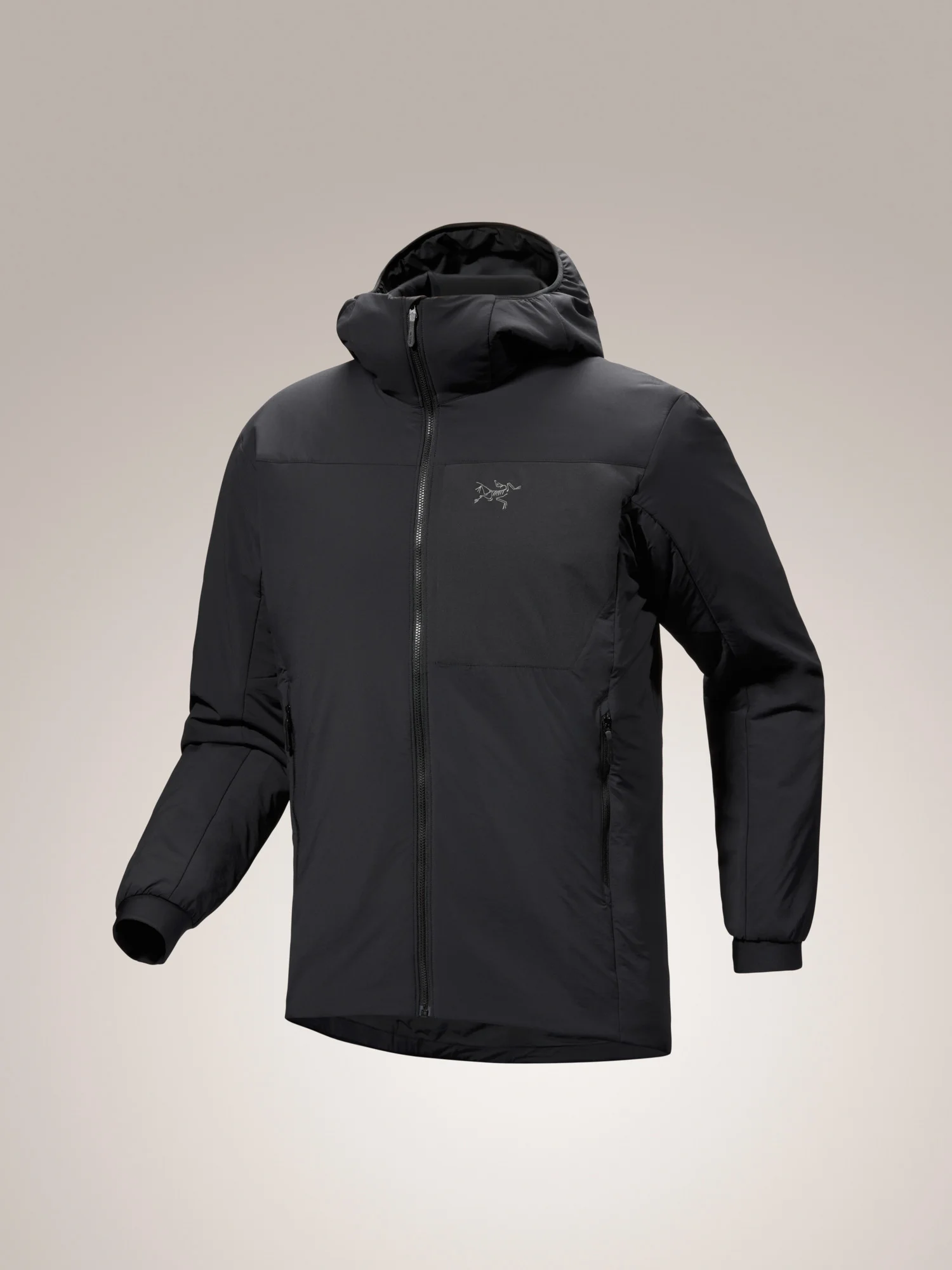 Proton Hoody - 1
