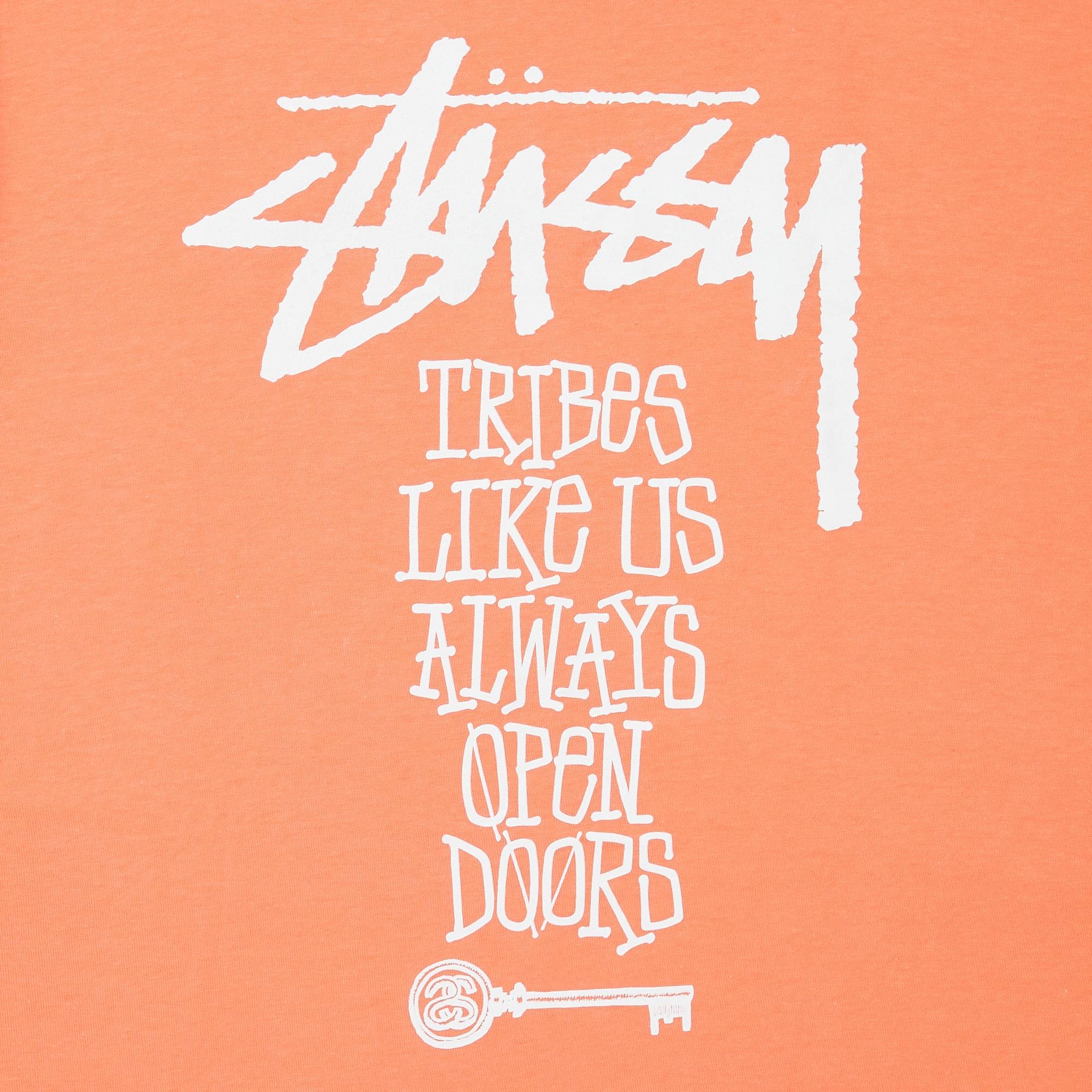 Stussy Tribes Like Us Tee 'Pale Red' - 3