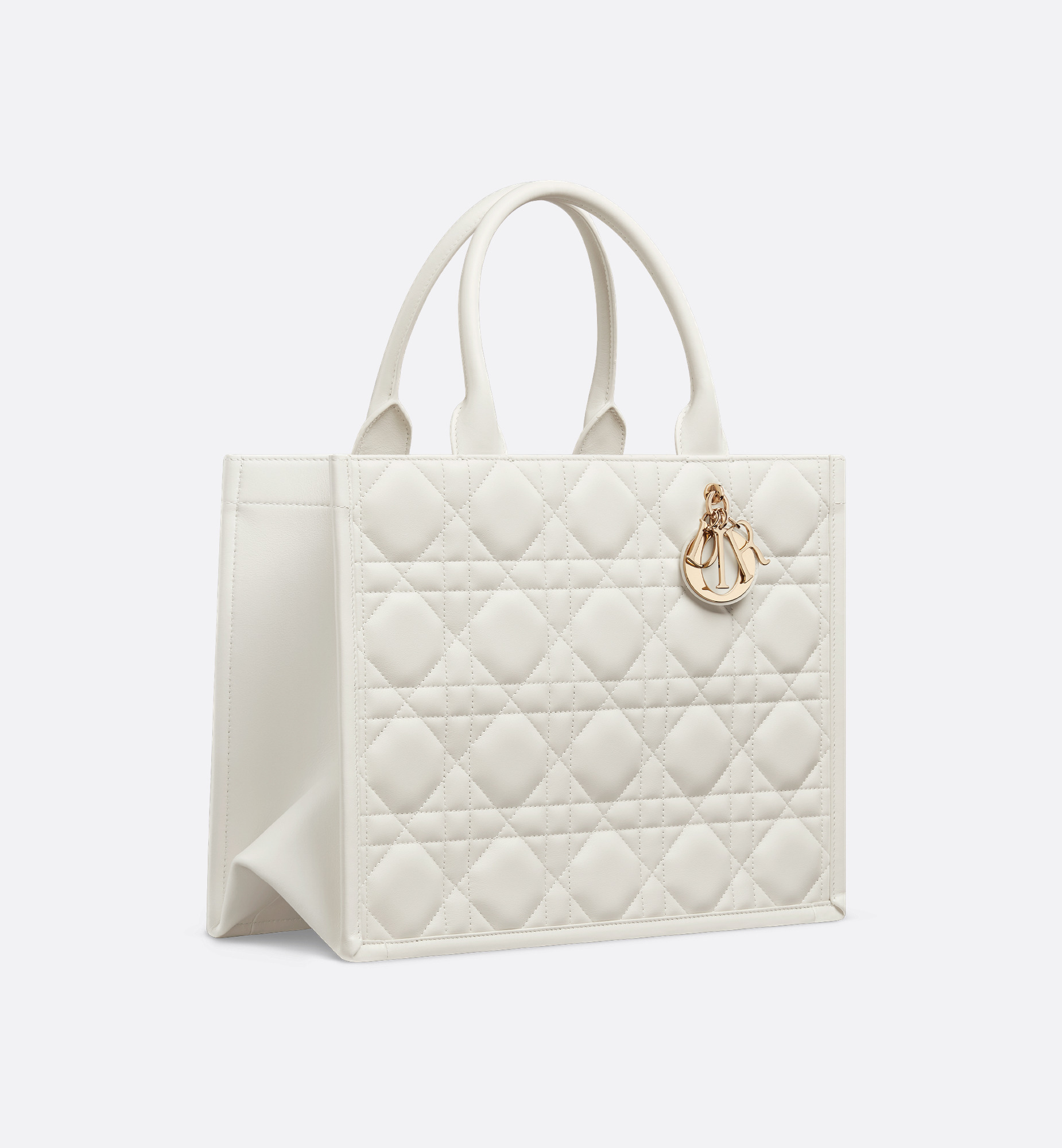 Medium Dior Book Tote - 3