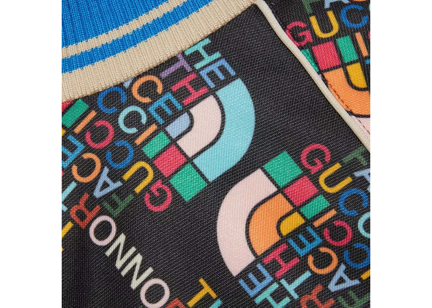 Gucci x The North Face Zip Jacket Multicolor - 2
