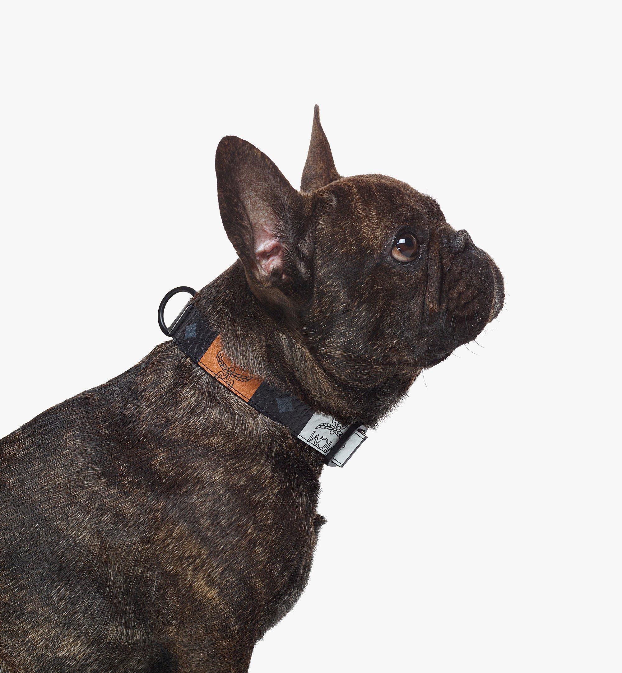 Pet Collar in Checkerboard Visetos - 4