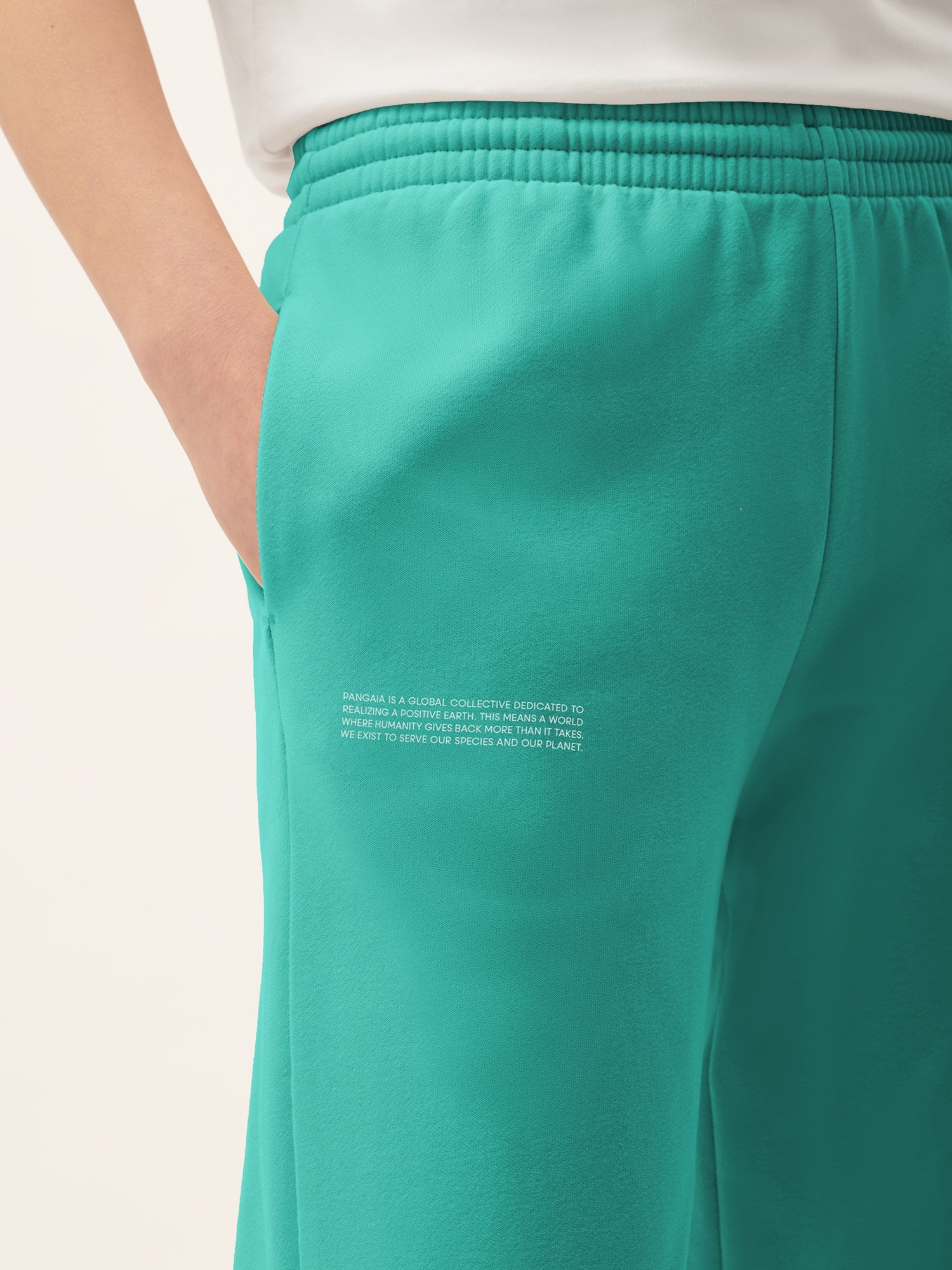 Womens 365 Midweight Track Pants - Malachite Green - 4