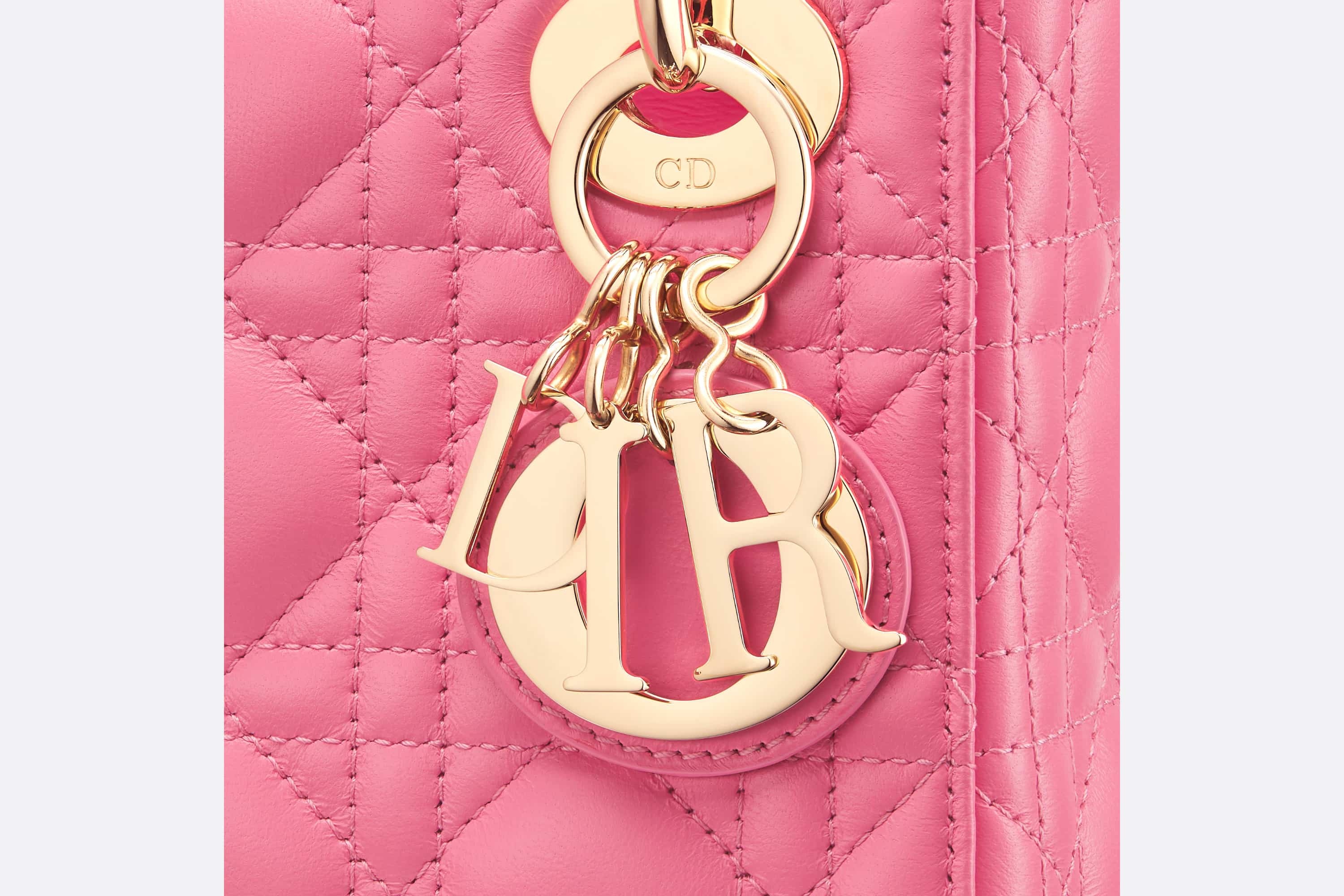 Mini Dioriviera Lady Dior Bag - 6