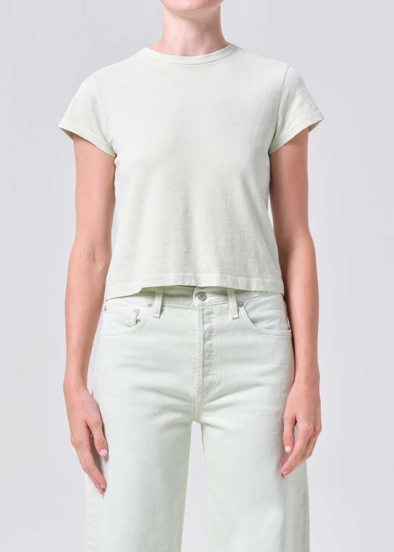 AGOLDE ADINE SHRUNKEN TEE IN MINT CREAM outlook