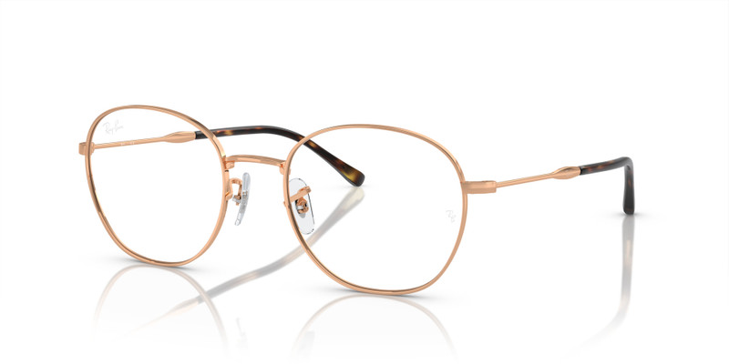 RB6509 OPTICS 1