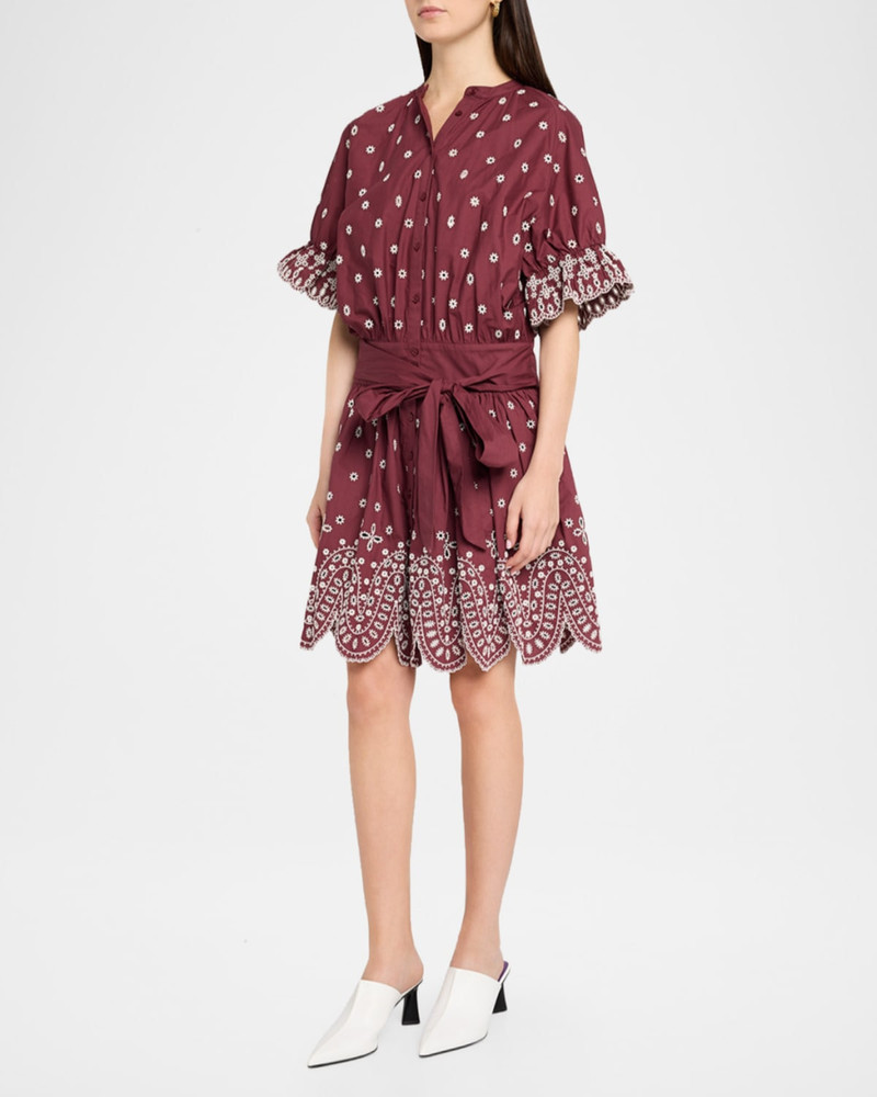 Kaylani Embroidered Mini Shirtdress 4