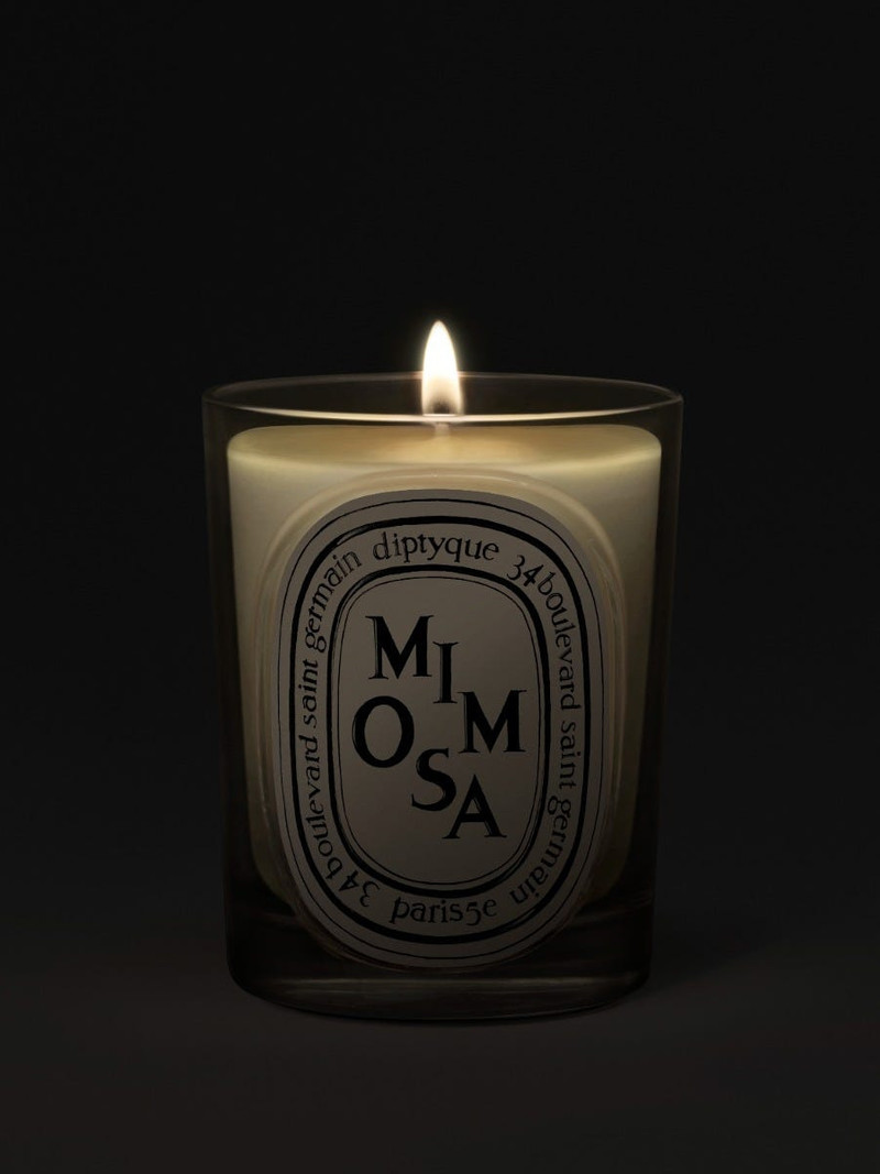 Diptyque Mimosa - Classic Candle outlook