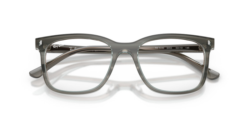 Ray-Ban RB5446 OPTICS outlook