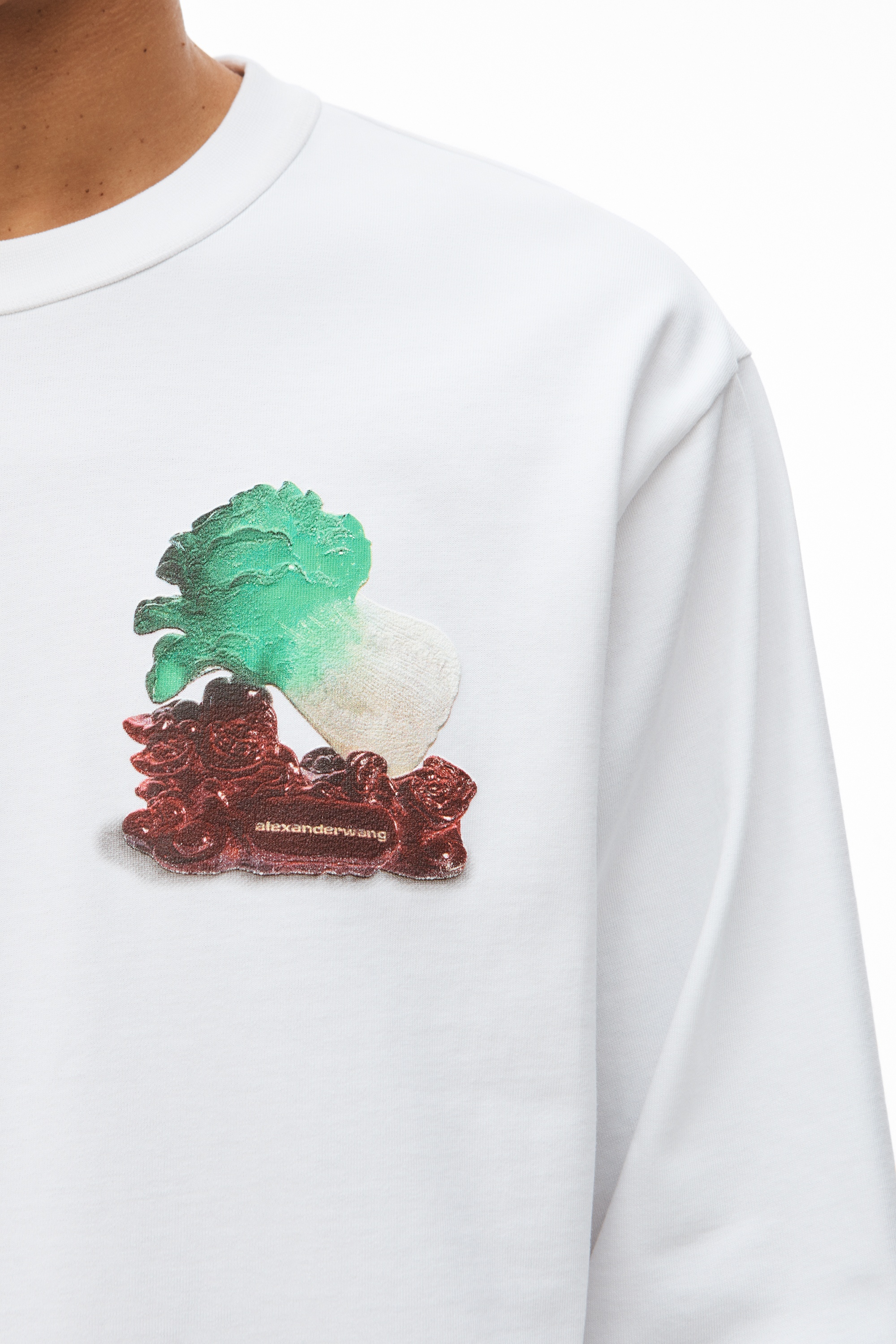 CABBAGE GRAPHIC TEE IN COMPACT JERSEY - 5