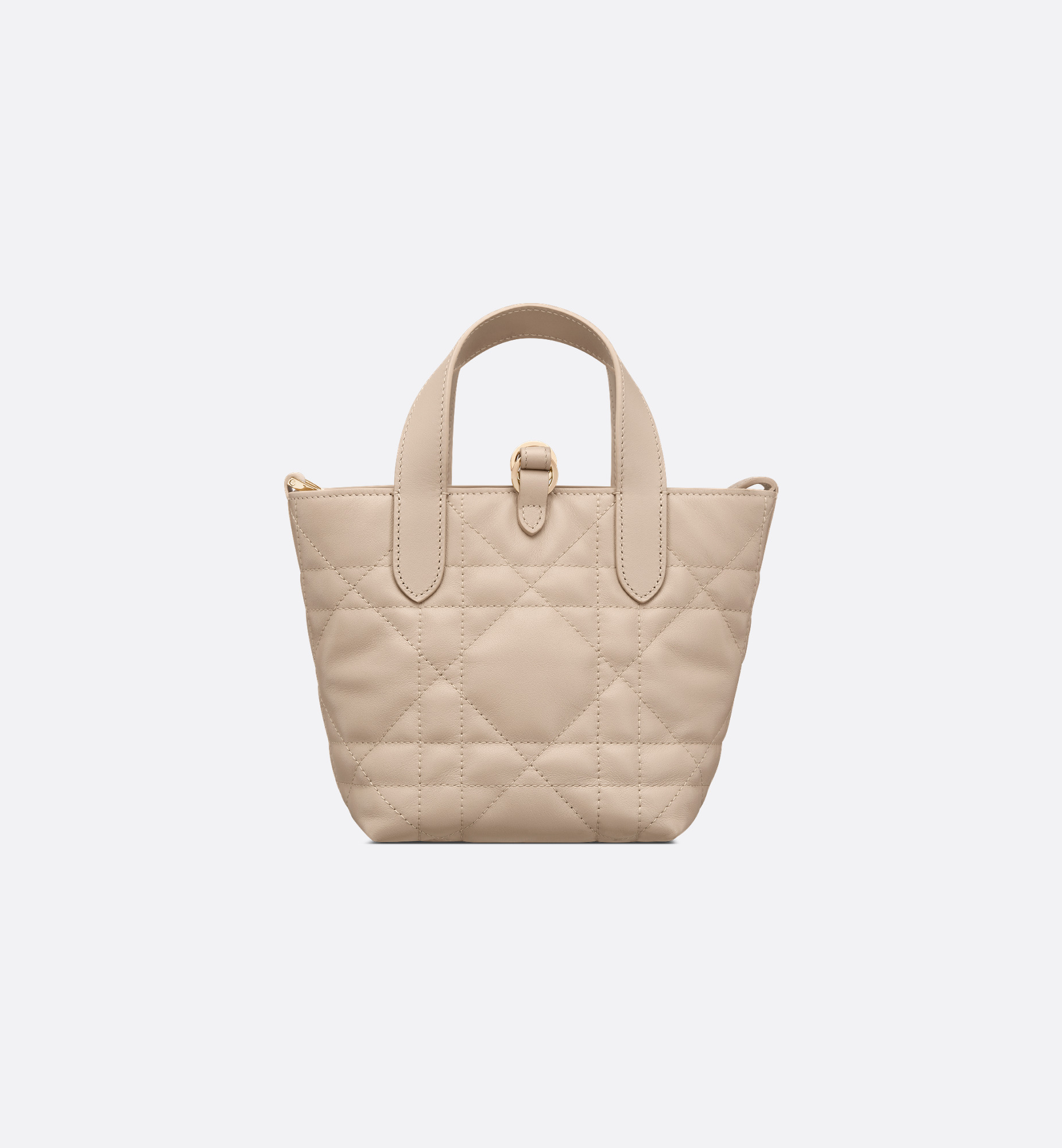 Dior Toujours Vertical Nano Tote Bag - 5
