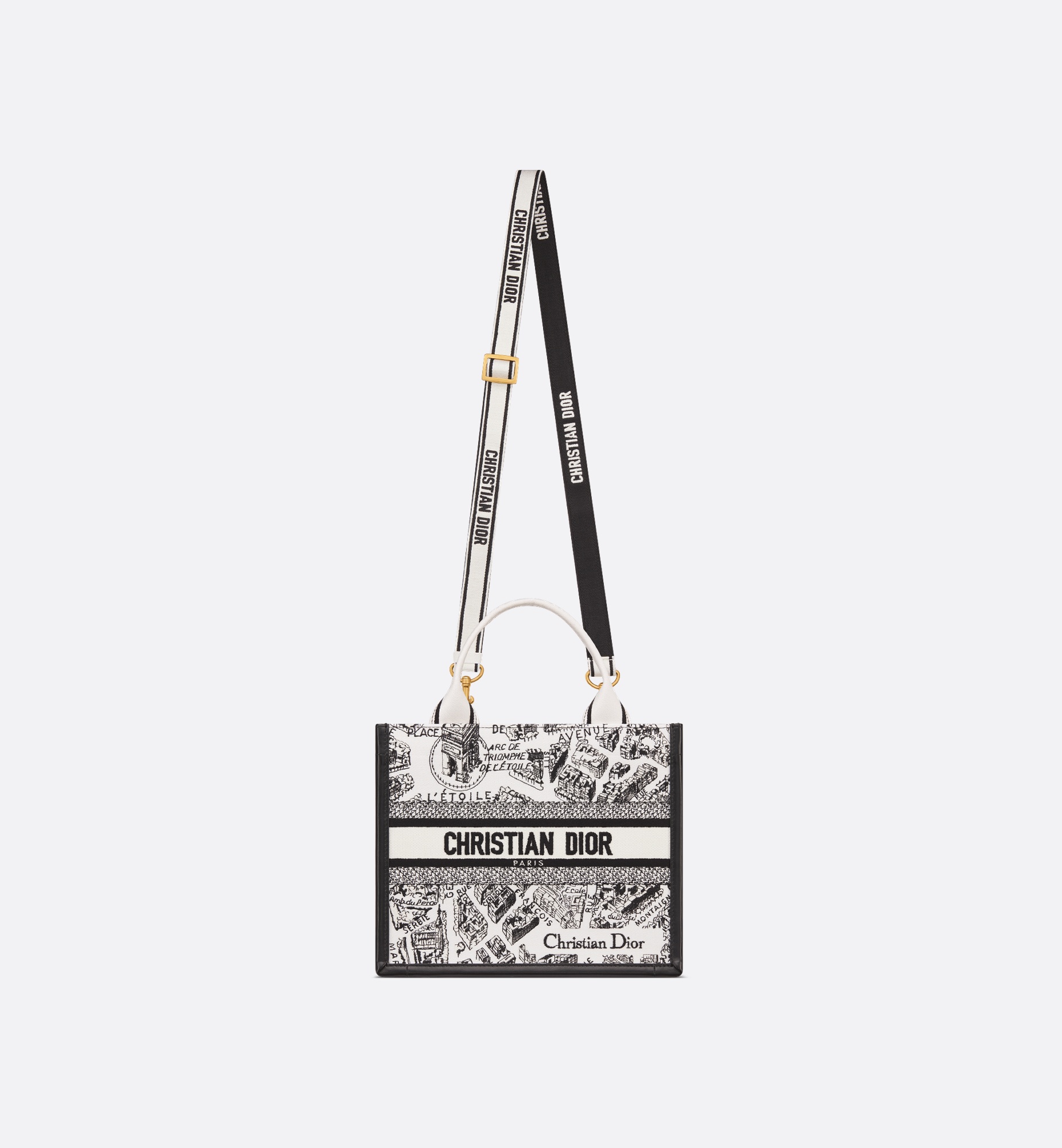 Small Dior Book Tote - 6