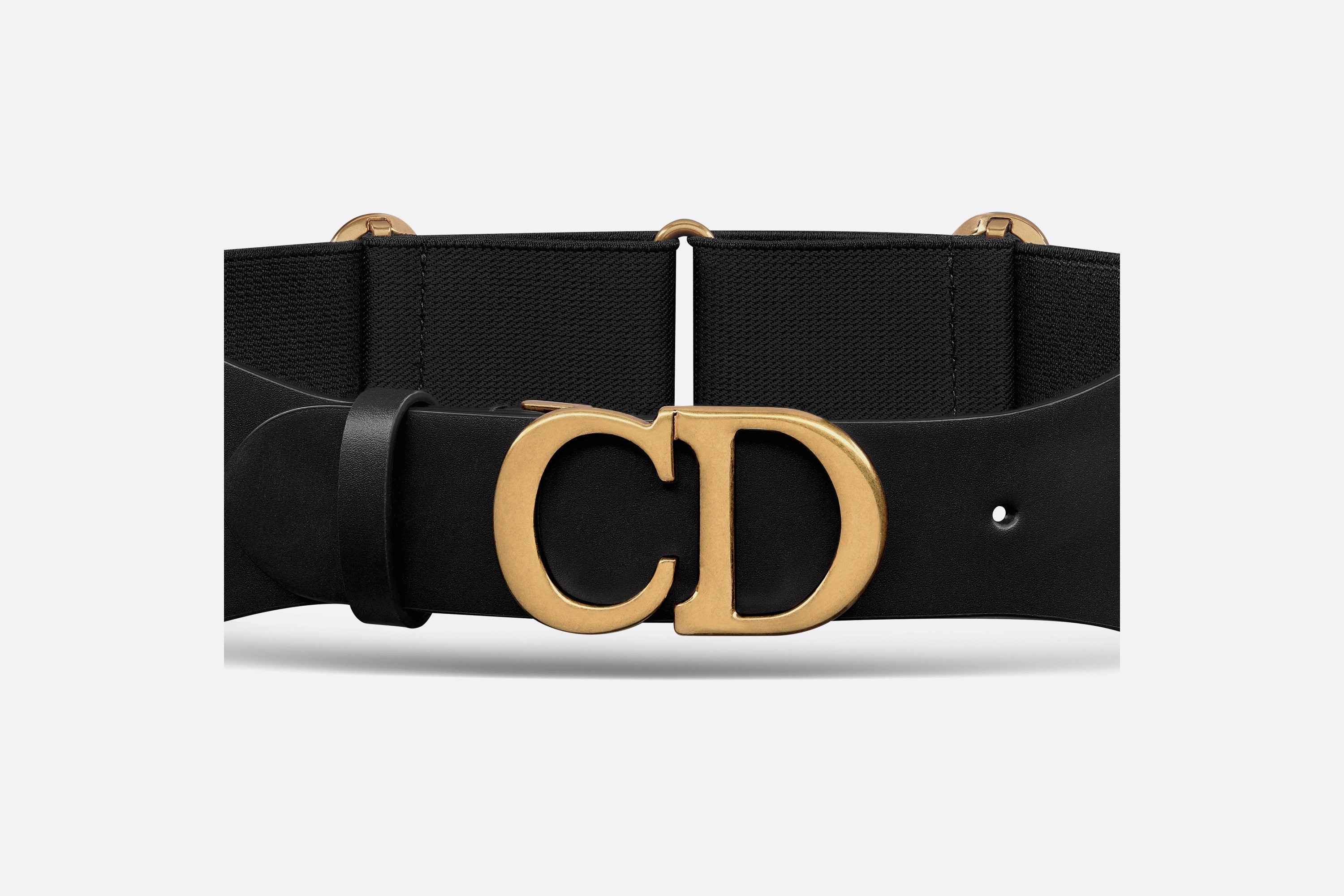 【DIOR】 Saddle Belt With Pouch Dior Saddle Belt Bag: Stylish Luxury Within Reach | TikTok