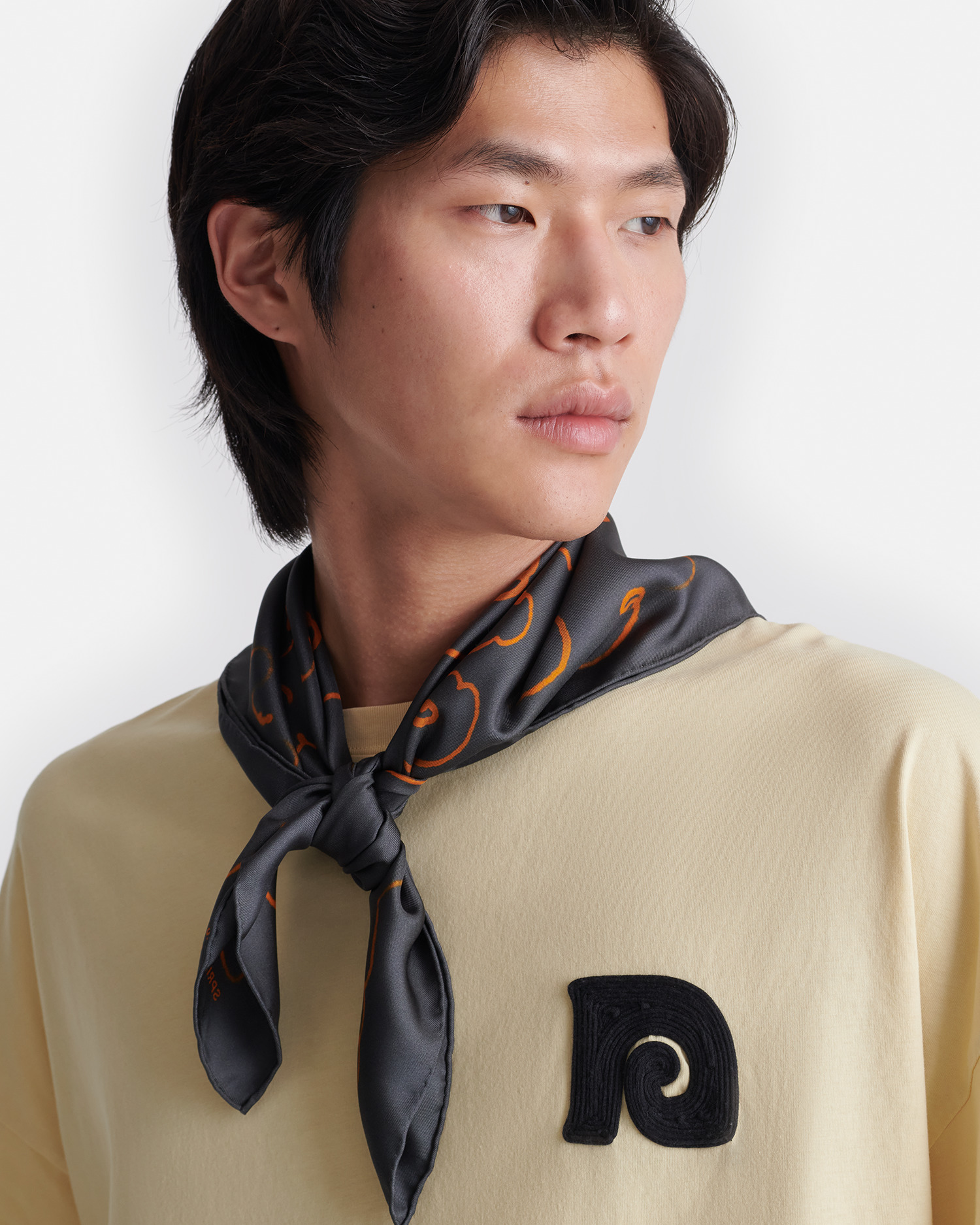 Printed Silk Scarf - 2