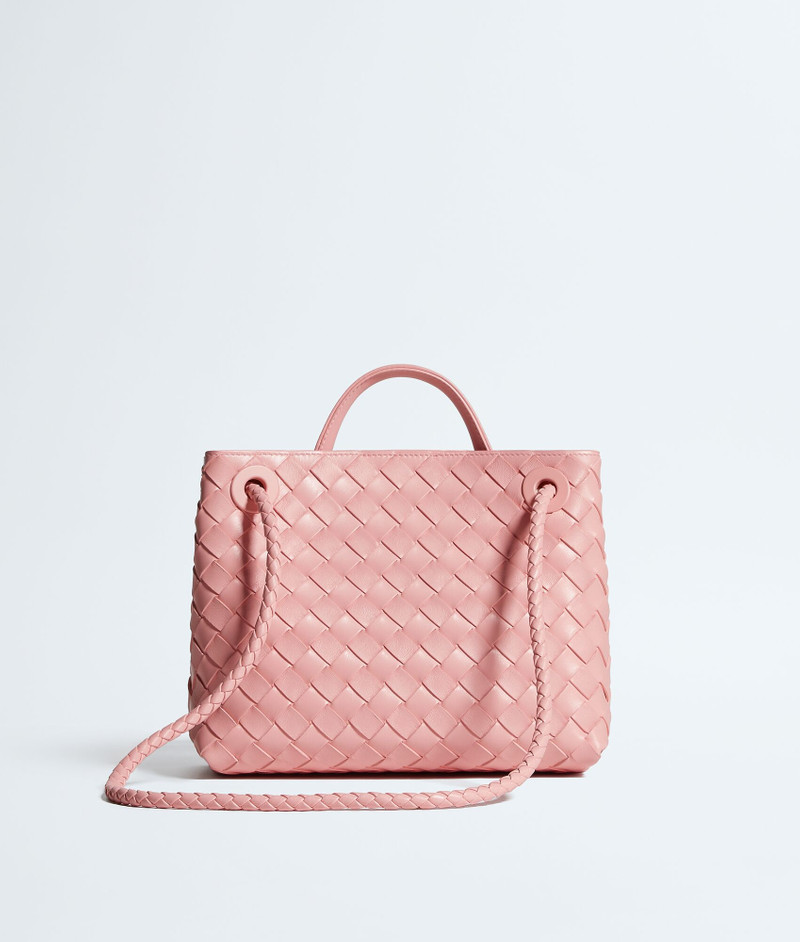 Bottega Veneta Small Andiamo outlook