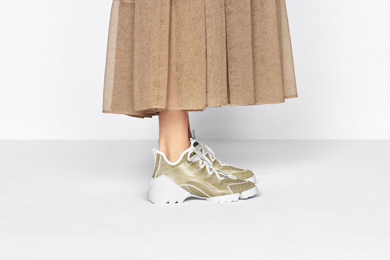 Dior D-Connect Sneaker outlook