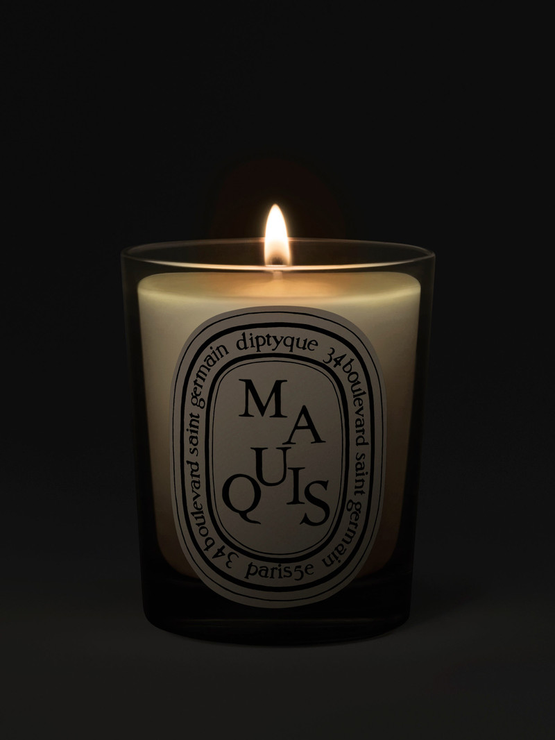Diptyque Maquis (Scrub) - Classic Candle outlook