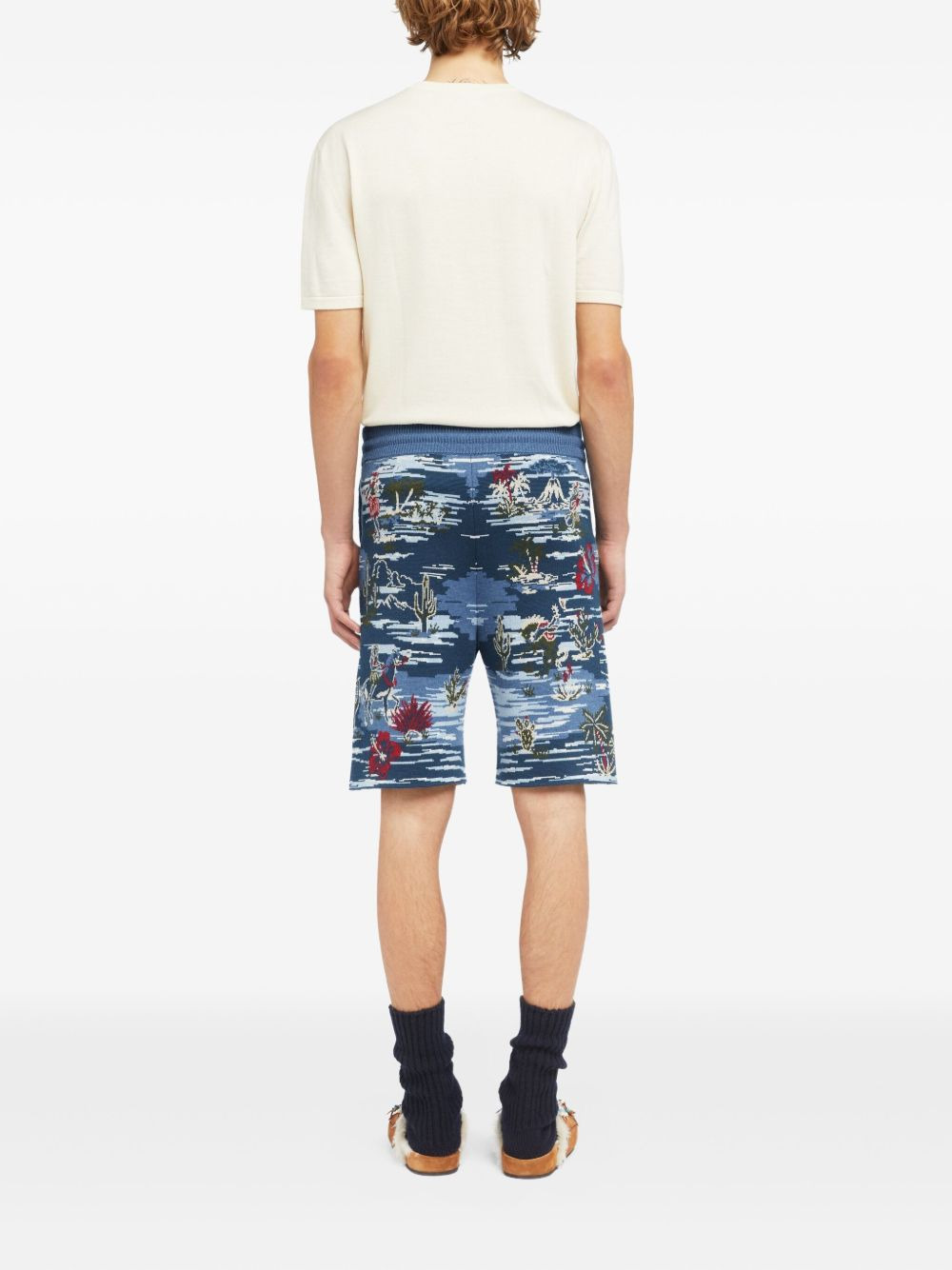 Tex-Hawaii Roundtrip shorts - 4