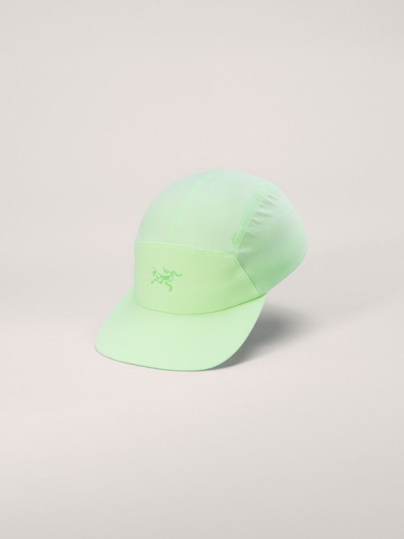 Gamma 5 Panel Cap 1