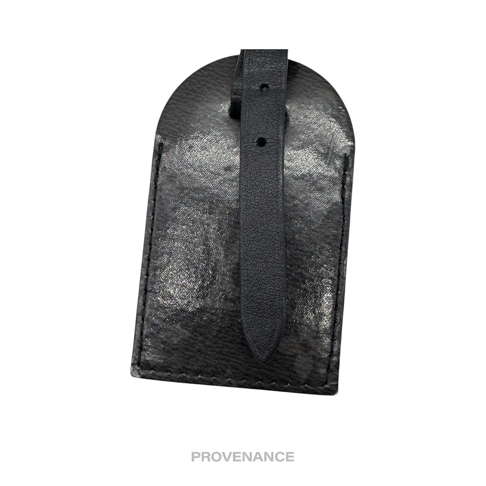Louis Vuitton Luggage Tag - Monogram Eclipse - 5
