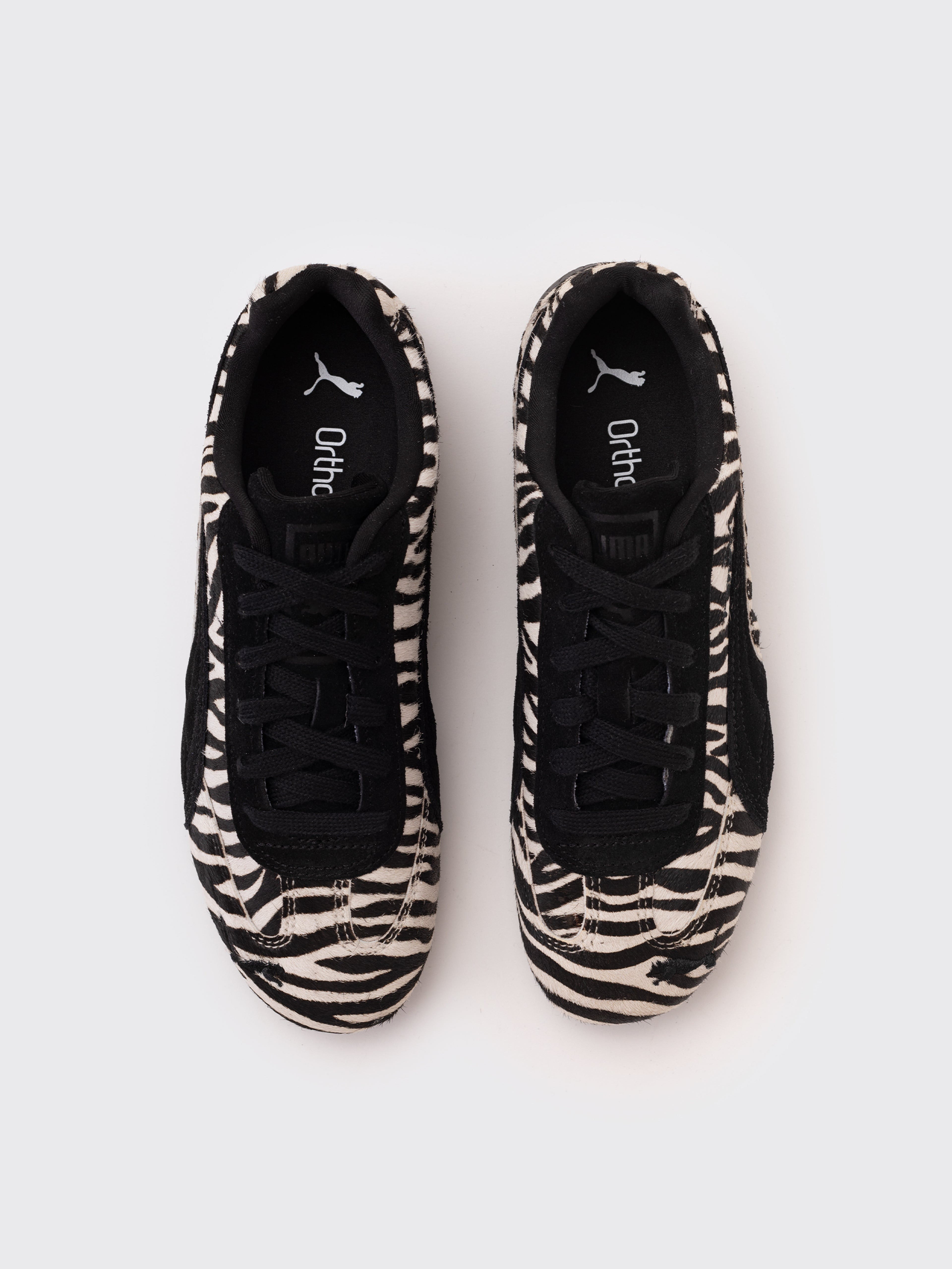 W Speedcat Zebra - 4