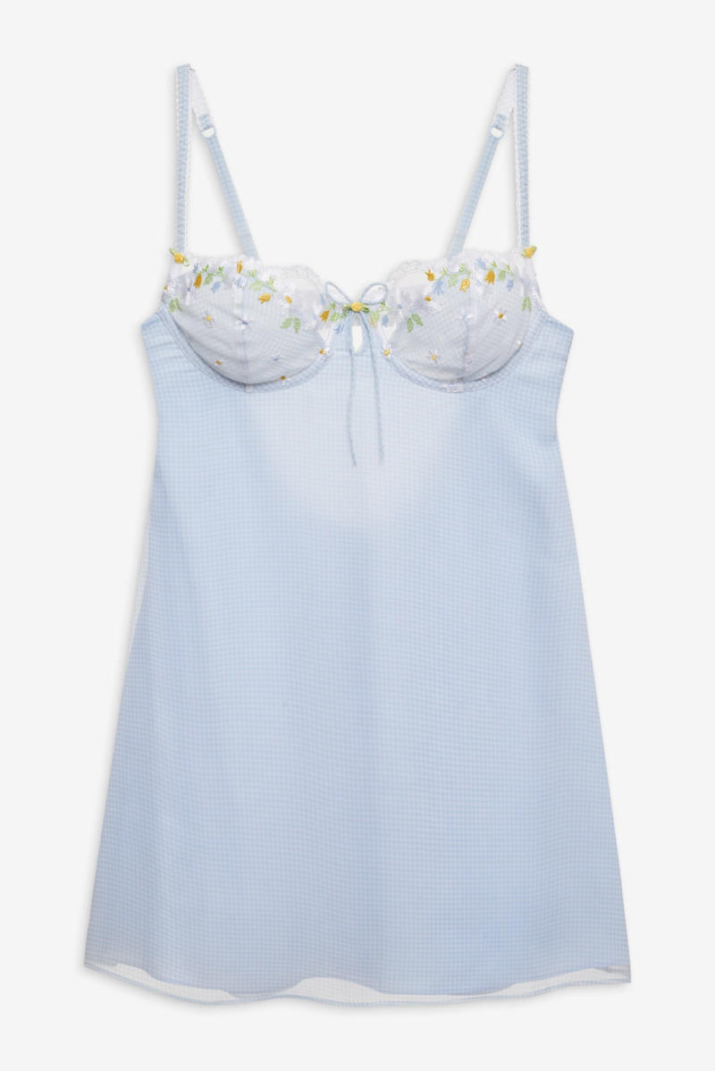 Gingham Rose Slip Dress 1