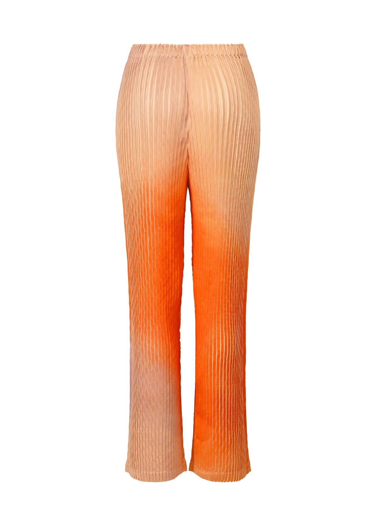 SUFFUSED PLEATS PANTS - 2