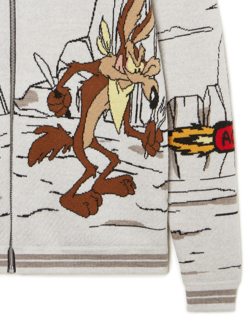 Race To The South Pole Jacket 9