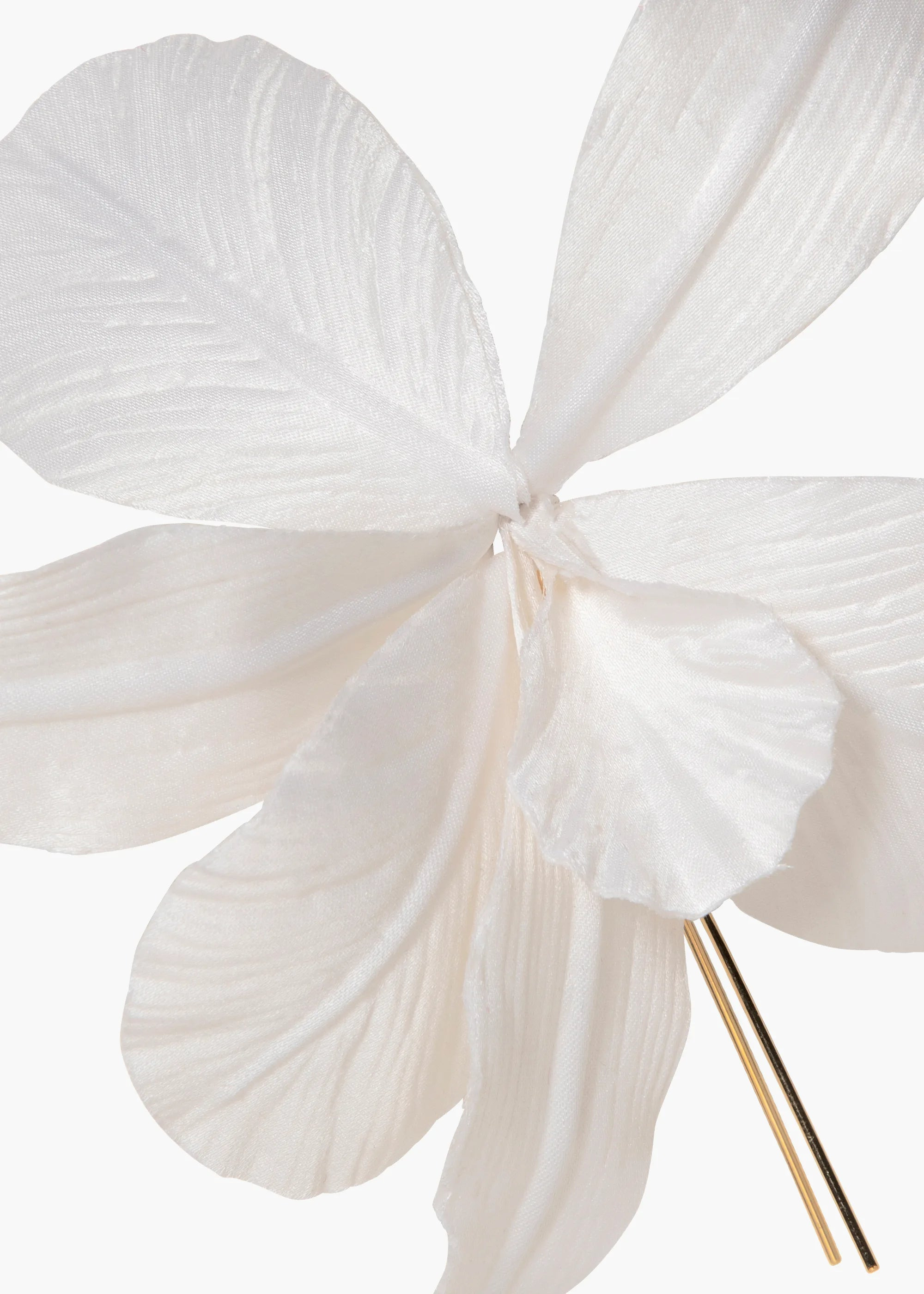 Orchid Harpin - 4