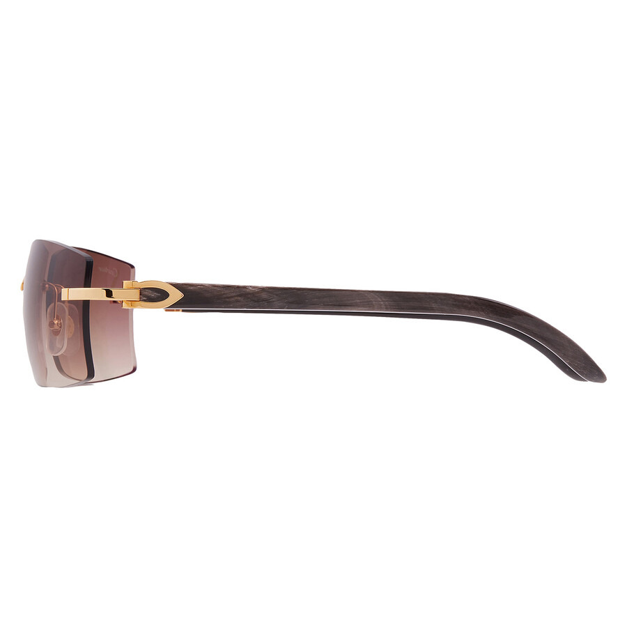 Cartier C Decor Brown Multi Treatment Rectangular Men's Sunglasses CT0021RS 001 59 - 4