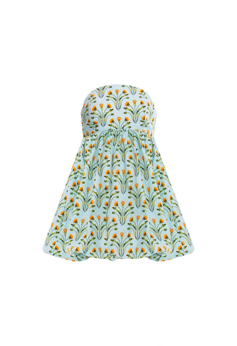Anamu Diente de Leon Mini Dress 1