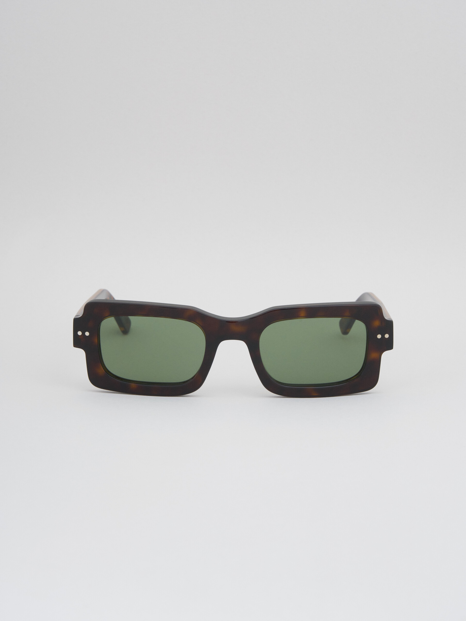 TORTOISESHELL ACETATE LAKE VOSTOK SUNGLASSES - 1