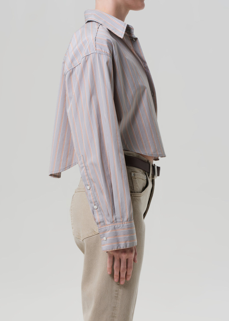 Ana Cropped Shirt In Noble Stripe 4