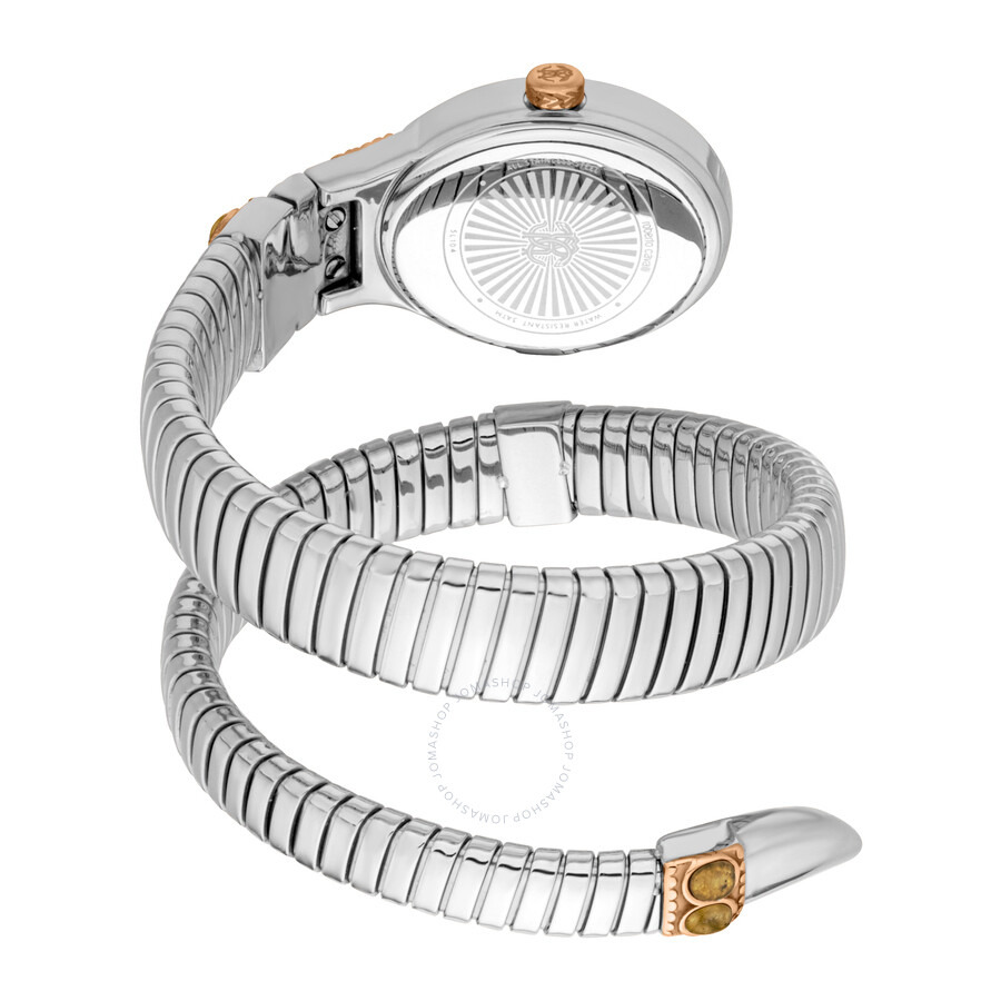 Roberto Cavalli Serpente Ornato Grey Dial Ladies Watch RC5L104M0075 - 2