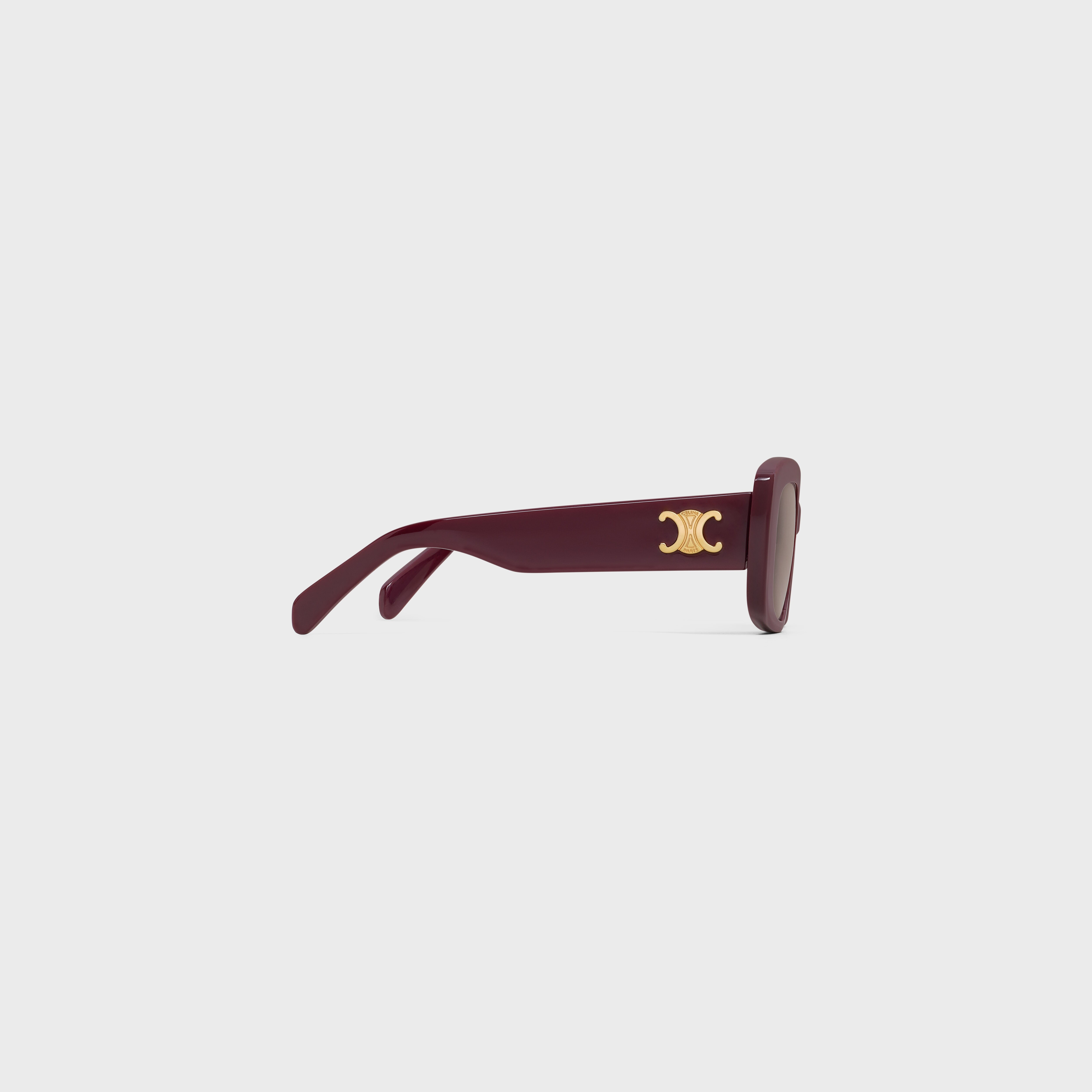 Triomphe 04 Sunglasses in Acetate - 4