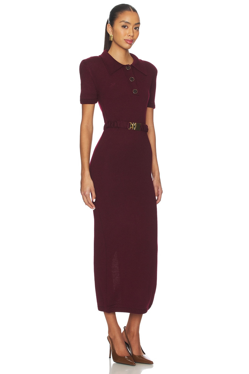 Polo Dress 2