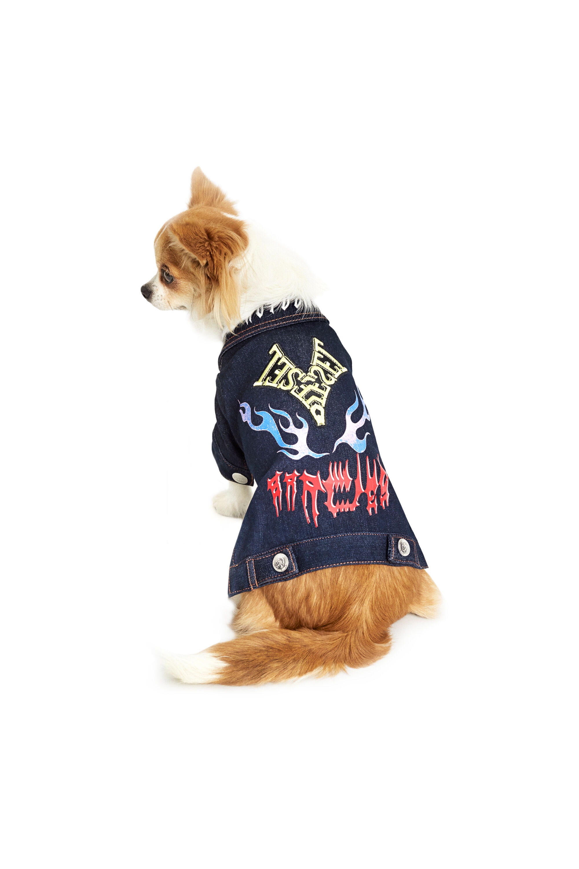 PET-FLAMES - 3