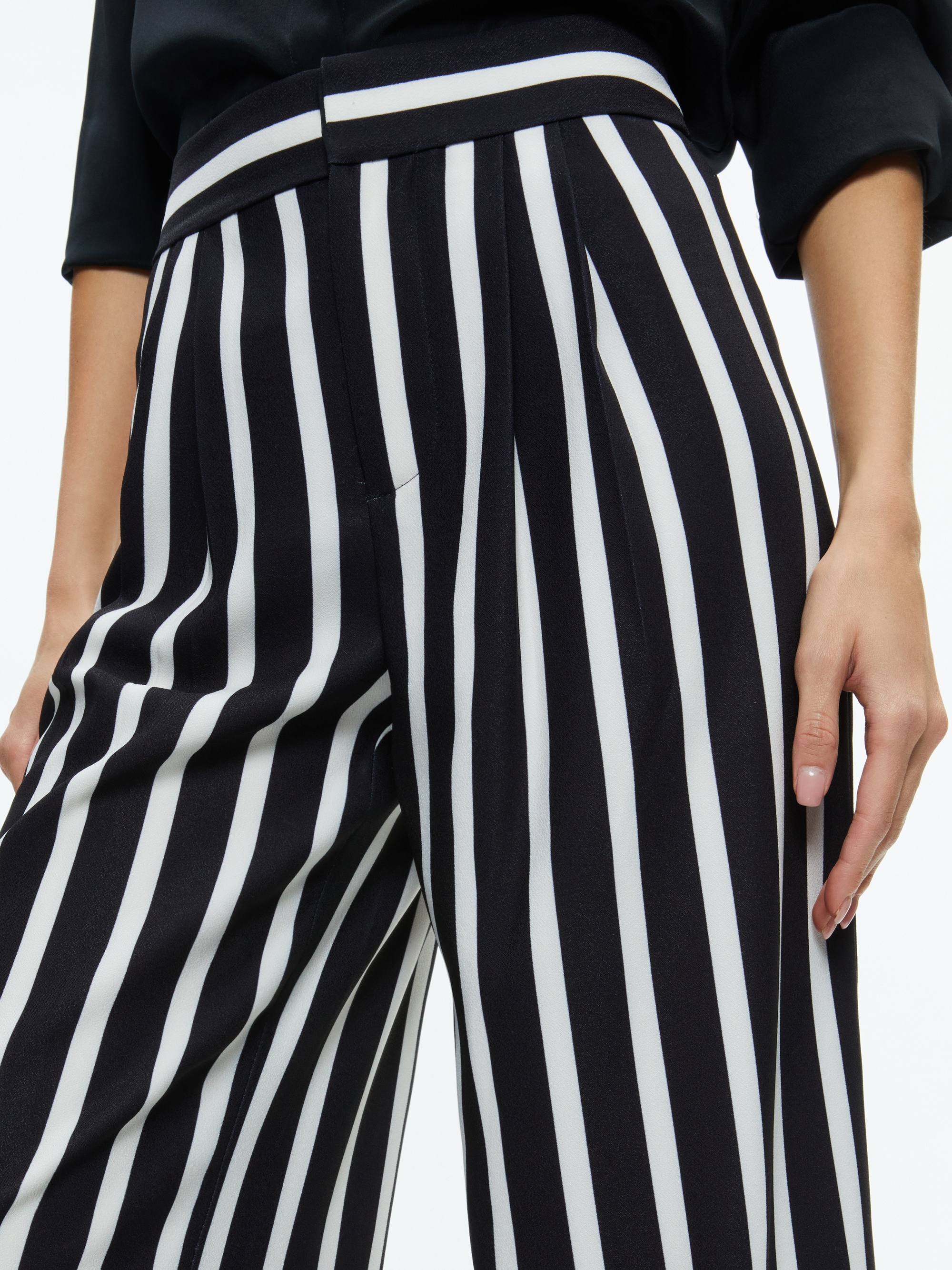 POMPEY HIGH WAISTED PLEATED PANTS - 5