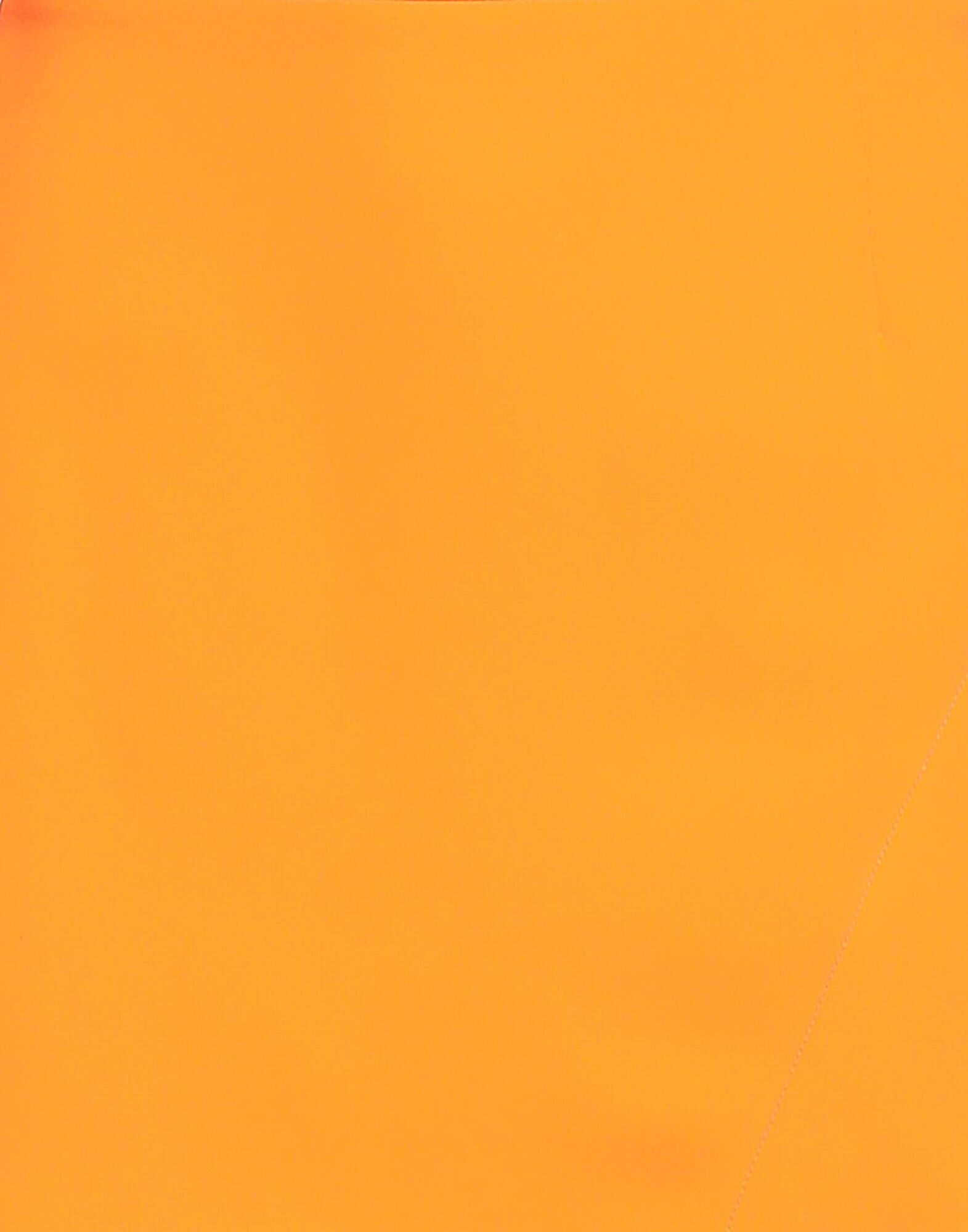 Orange Women's Mini Skirt - 4