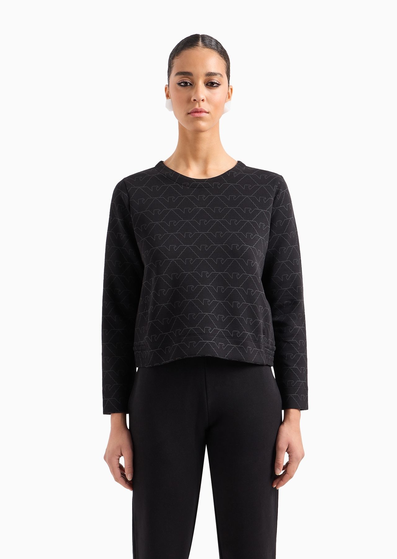 Double-jersey crew-neck sweatshirt with eagle - 2