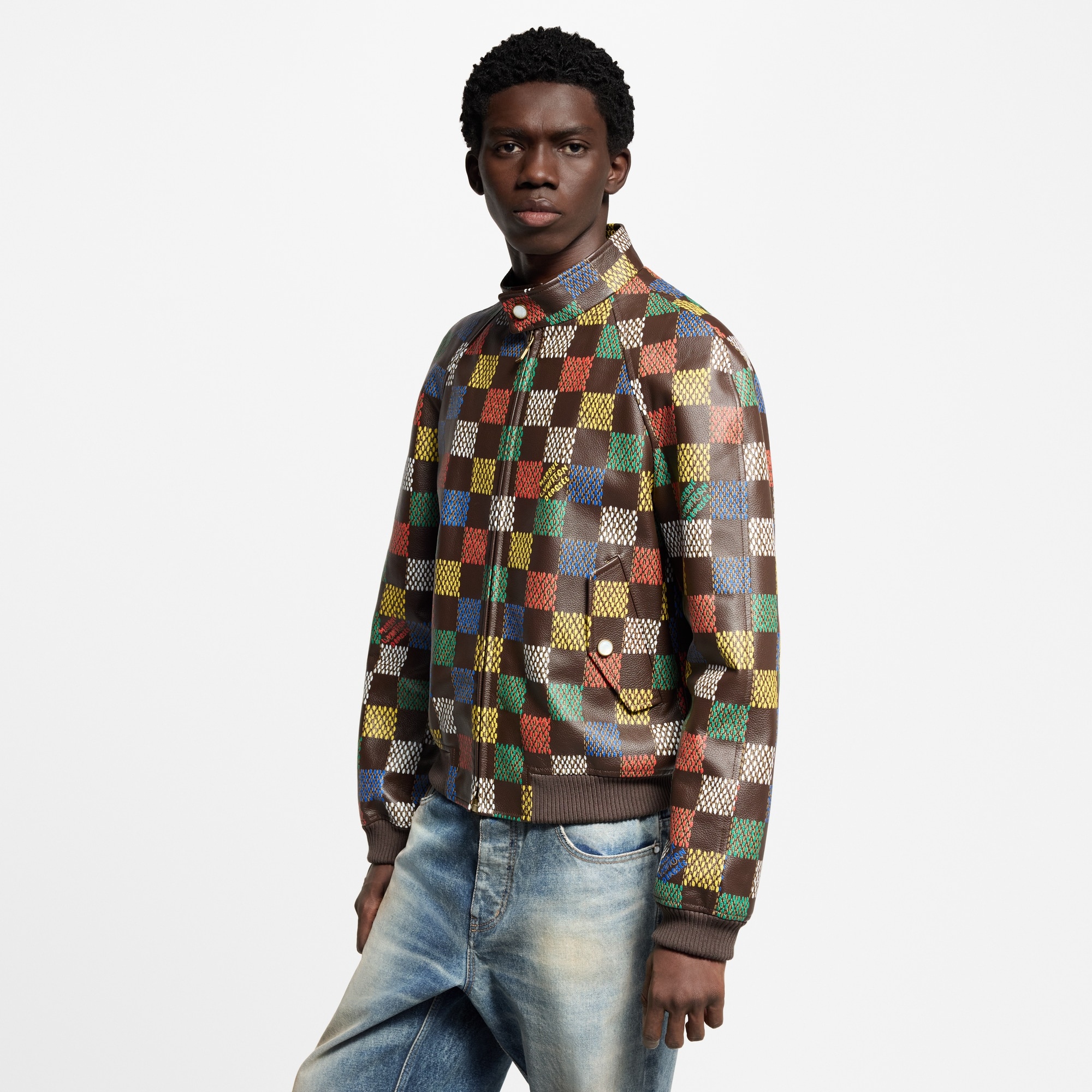 Damier Leather Blouson - 2