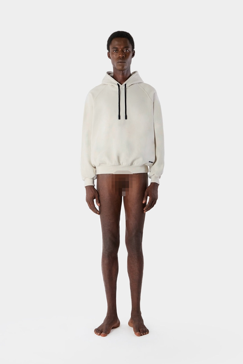 SMALL LOGO HOODIE / silver birch 4