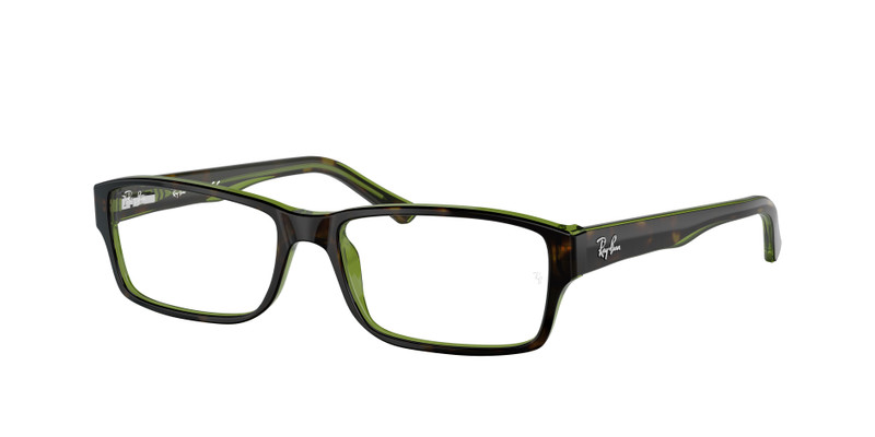 RB5169 OPTICS 3