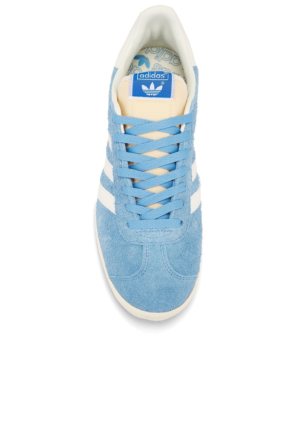 Gazelle - 4