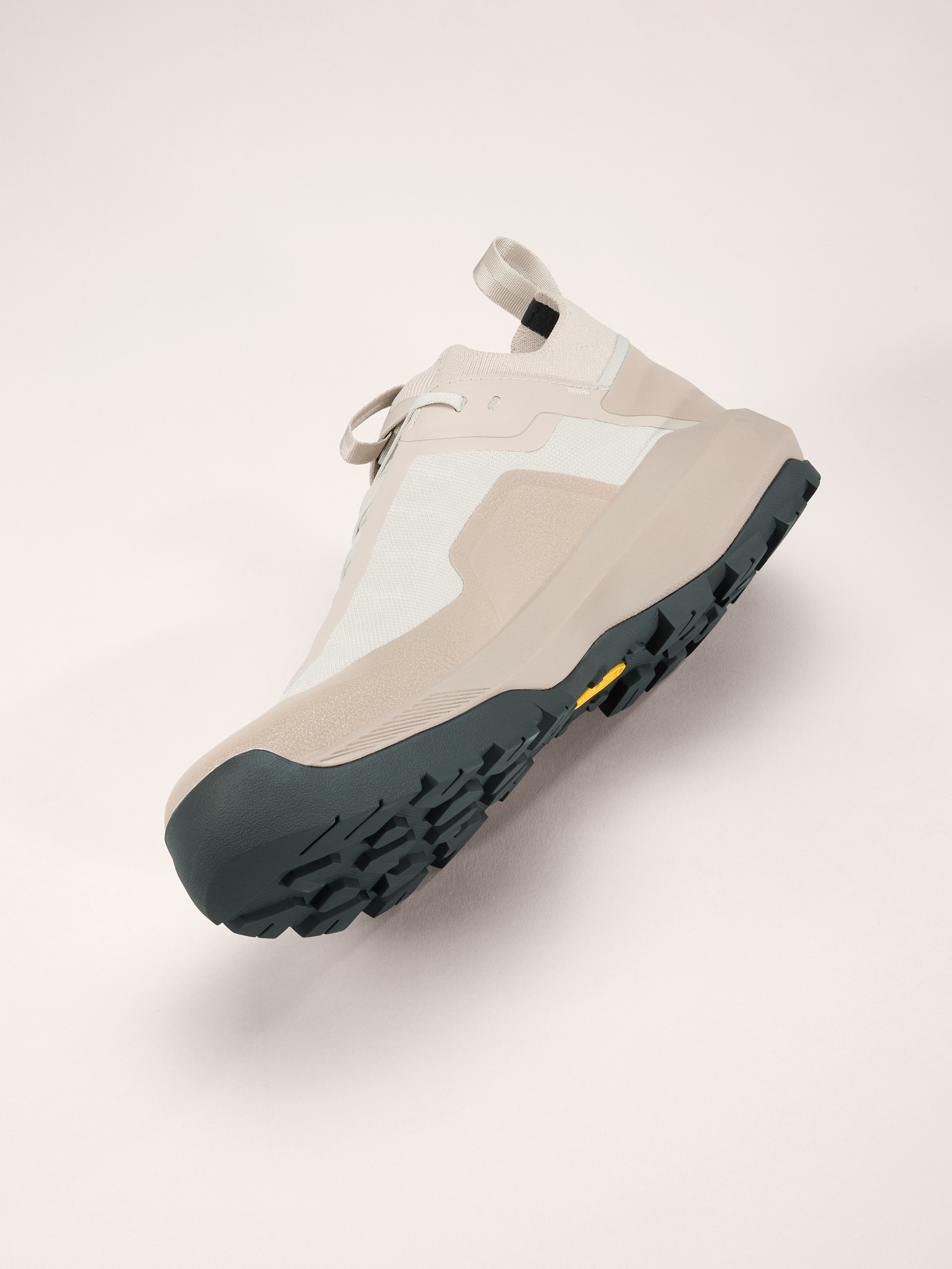 Vertex Alpine GTX Shoe - 5