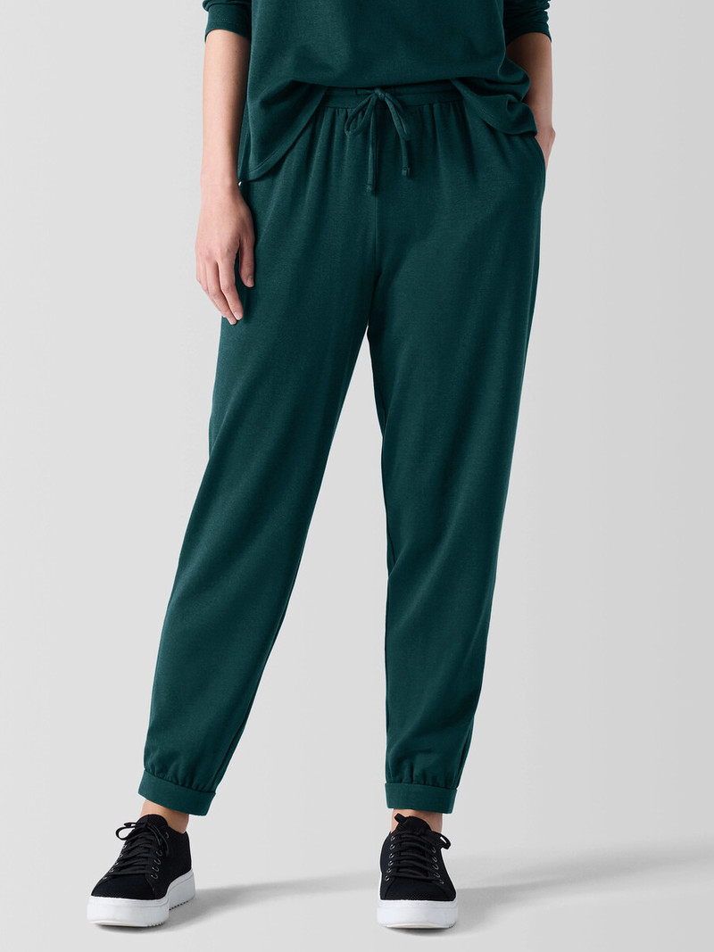 Cozy Brushed Terry Hug Jogger Pant 3