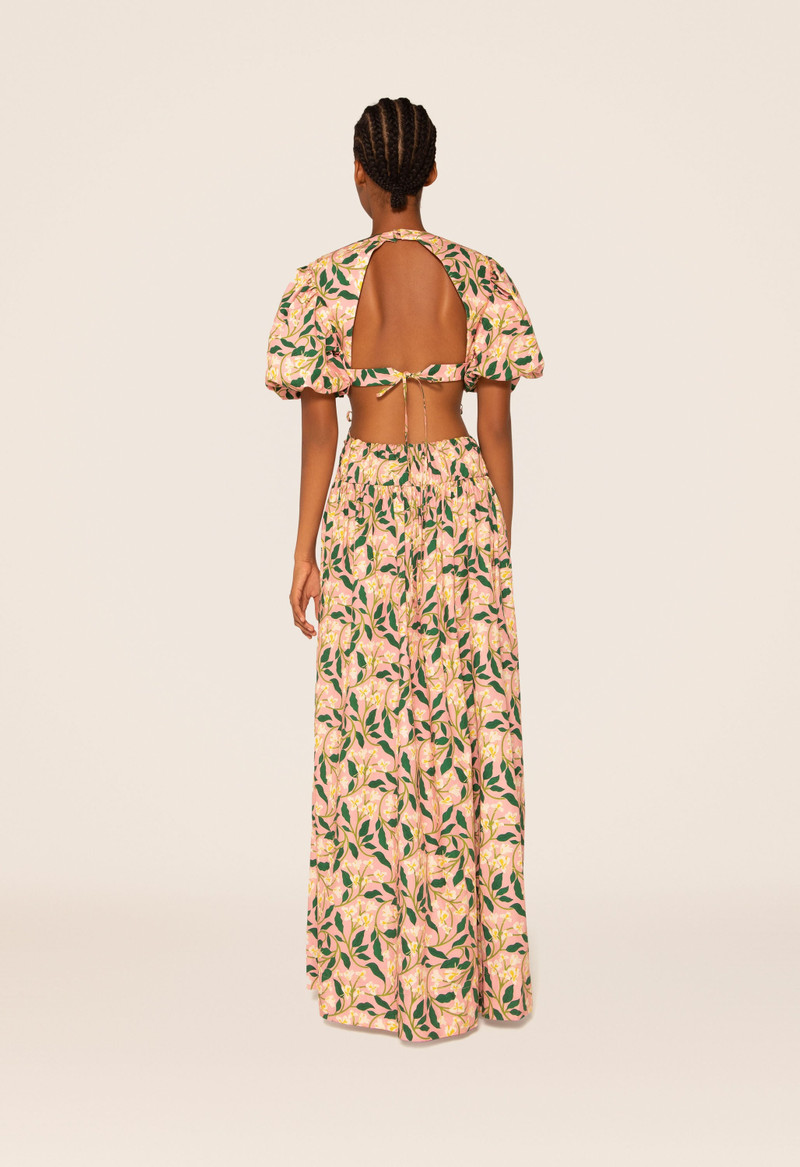 Samba Dos Gardenias Rosa Maxi Dress 4