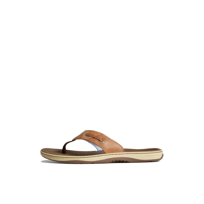 SPERRY Baitfish Flip Flops outlook