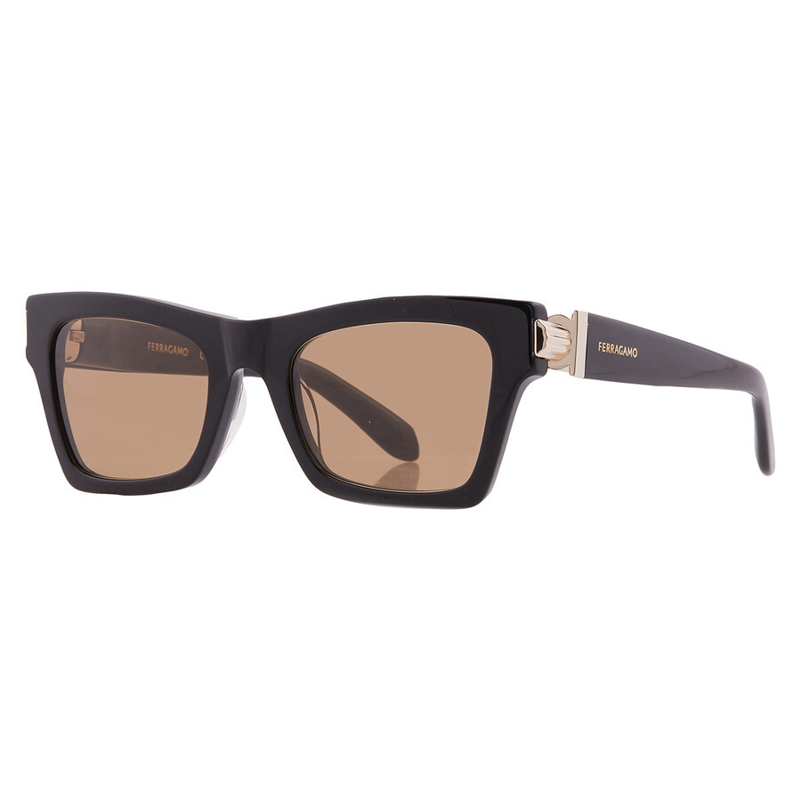 Ferragamo Brown Cat Eye Ladies Sunglasses SF2013S 011 52 - 2