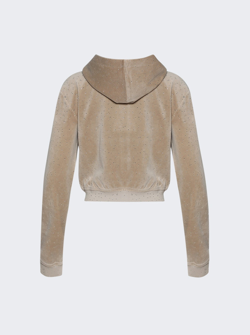 alexanderwang.t Shrunken Hoodie In Crystal Hotfix Velour Warm Taupe outlook